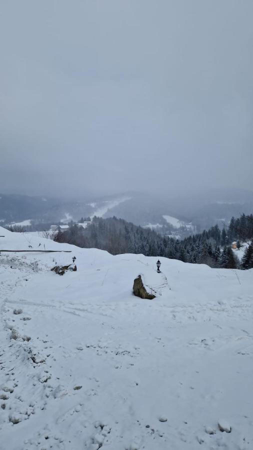 Rezydencja Nad Potoczkiem 비스와 외부 사진